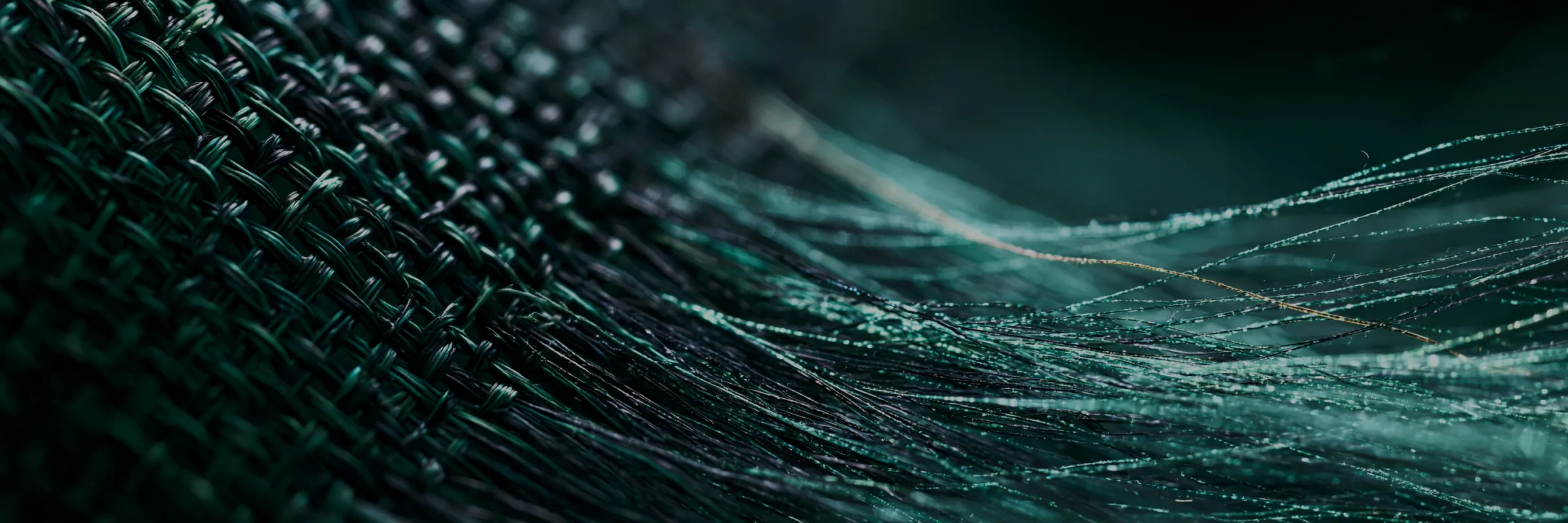 an image of fibers in AISLE style